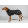 Back on Track Waterproof Dog Coat Bay