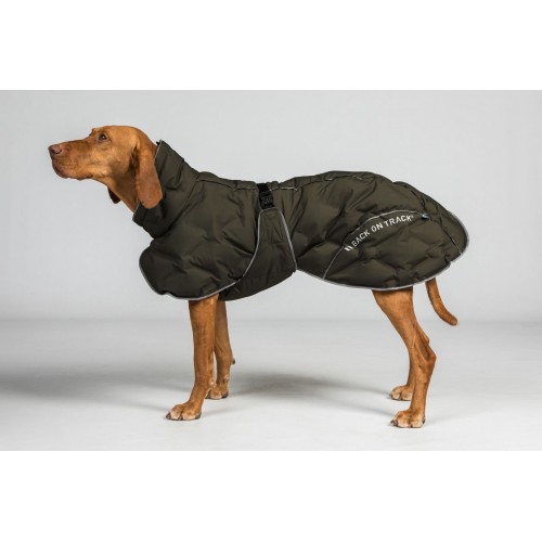 Back on Track Dog Rug Thermal Bay