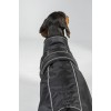 Back on Track Buddy 2.0 Thermal Dog Coat