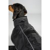 Back on Track Buddy 2.0 Thermal Dog Coat