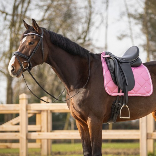 QHP Saddle Pad Lyvia