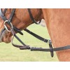 Shires Flexi-Reins