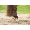 Harry's Horse FW25 Tendon Boots Anne