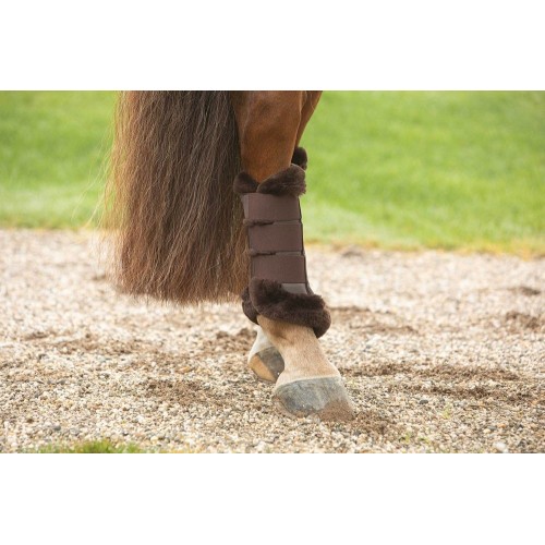 Harry's Horse FW25 Tendon Boots Anne