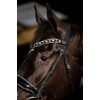 HB Showtime Bridle Black River