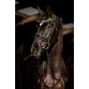 HB Showtime Bridle Black River