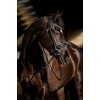 HB Showtime Bridle Black River