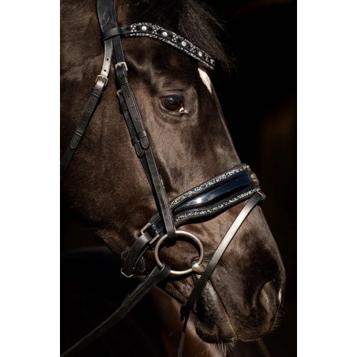 HB Showtime Bridle Black River