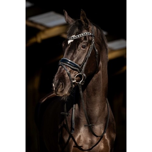 HB Showtime Bridle Black River