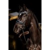 HB Showtime Bridle Blue Ocean
