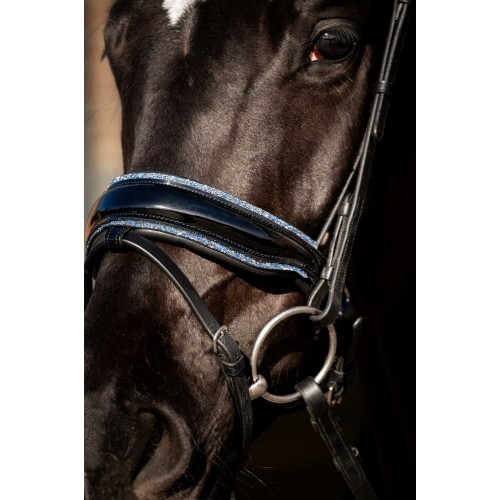 HB Showtime Bridle Blue Ocean