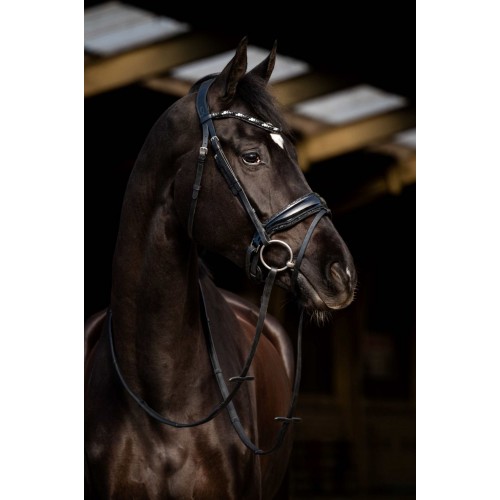 HB Showtime Bridle Dark Eagle