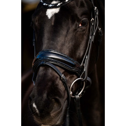HB Showtime Bridle Dark Eagle