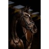 HB Showtime Bridle Copper Sky