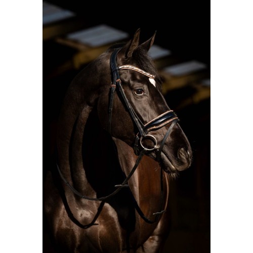 HB Showtime Bridle Copper Sky