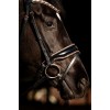 HB Showtime Bridle Copper Sky