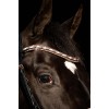 HB Showtime Bridle Copper Sky