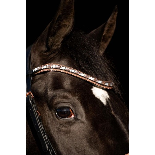 HB Showtime Bridle Copper Sky