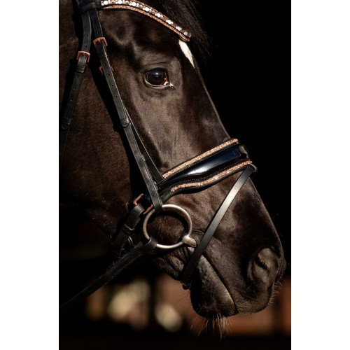 HB Showtime Bridle Copper Sky
