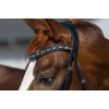HB Showtime Browband Rocky Glitter