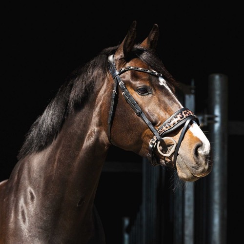 HB Showtime Bridle Leopard
