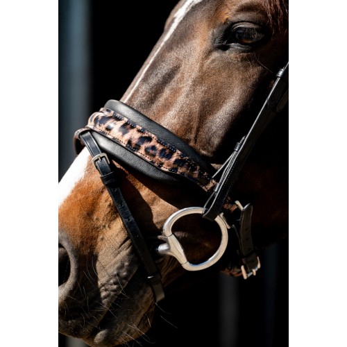 HB Showtime Bridle Leopard