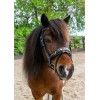 HB Showtime Leopard Bridle Little Sizes