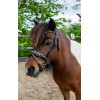 HB Showtime Leopard Bridle Little Sizes