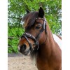 HB Showtime Leopard Bridle Little Sizes