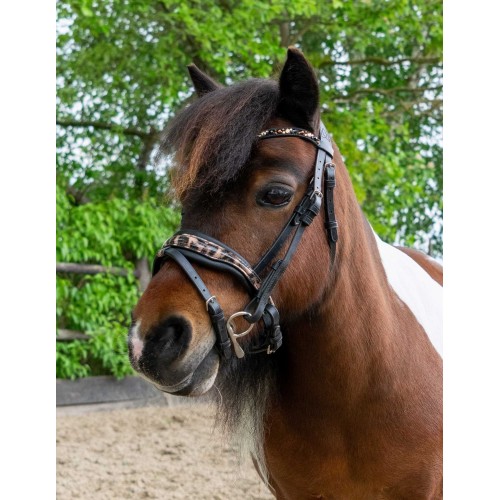 HB Showtime Leopard Bridle Little Sizes