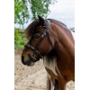 HB Showtime Leopard Bridle Little Sizes