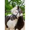 HB Showtime Leopard Bridle Little Sizes