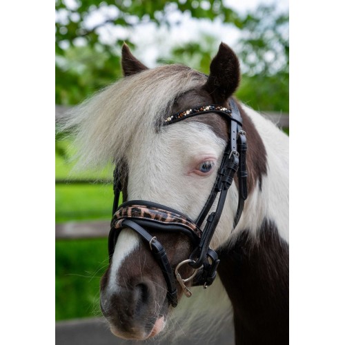 HB Showtime Leopard Bridle Little Sizes