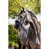 HB Showtime Bridle Ultimate Dream