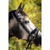 HB Showtime Bridle Ultimate Dream