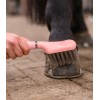 Waldhausen Hoof Brush with Gel Handle