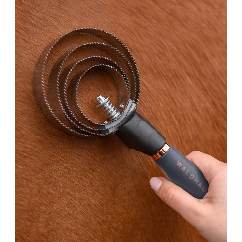 Waldhausen Curry Brush with Gel Handle