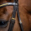Imperial Riding Snaffle Bridle IRH simple combined noseband