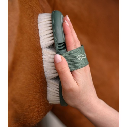 Waldhausen Flex Shine Brush