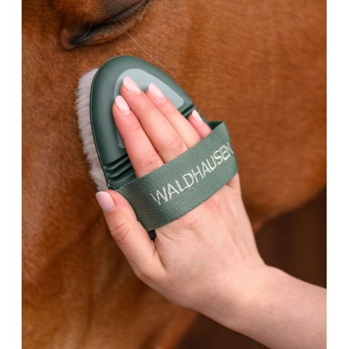 Waldhausen Flex Shine Brush