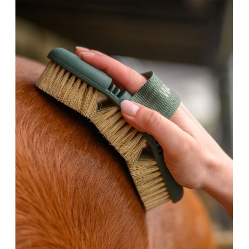 Waldhausen Flex Hard Brush