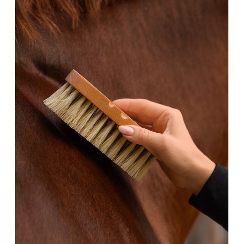 Waldhausen Exclusive Line Contour Brush