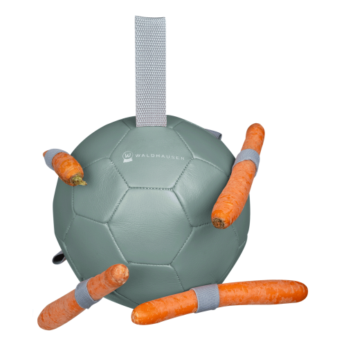 Waldhausen Carrot Ball