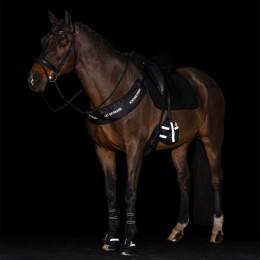 Imperial Riding FW25 стременной Toe утеплитель IRHReflective, комплект из 2 pcs