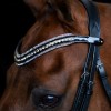 Imperial Riding SS26 Browband IRHMaxima