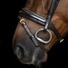 Imperial Riding Snaffle Bridle IRH simple combined noseband