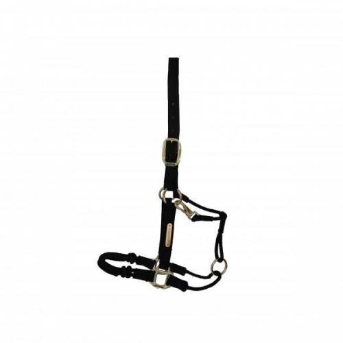 Kentucky control Halter