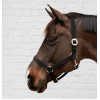 Kentucky Nylon Halter