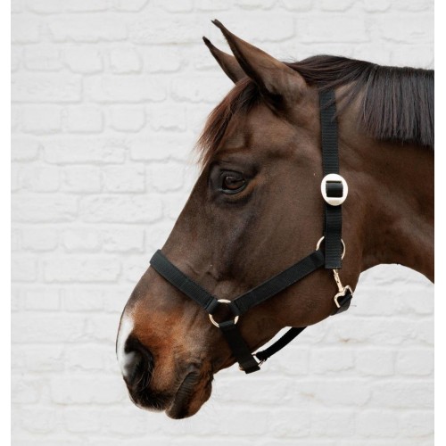 Kentucky Nylon Halter