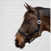 Kentucky Nylon Halter